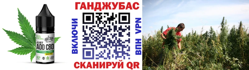 Cannafood конопля  Грязи 