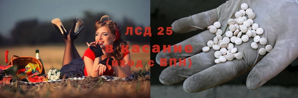 круглые Алзамай