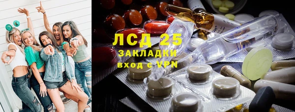 круглые Алзамай